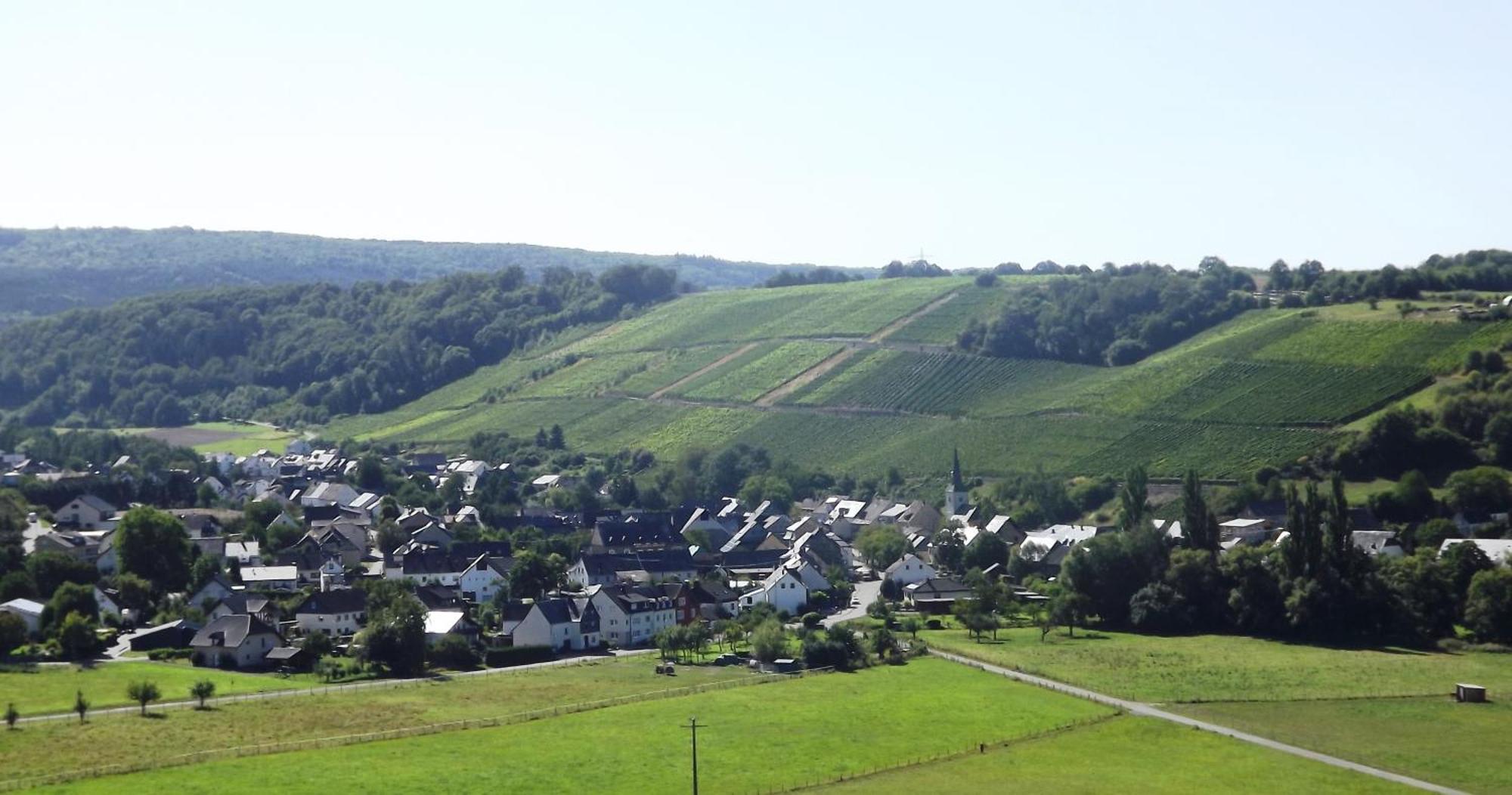 Ferienweingut & Gutsrestaurant Becker Apartment Burgen  Bagian luar foto